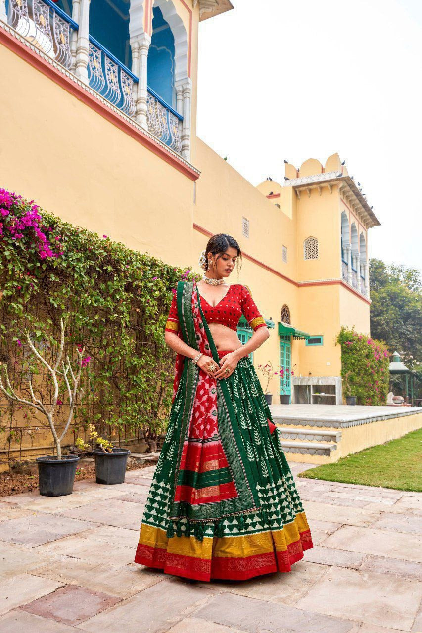 Designer Multi-Colored Lehenga Choli Set